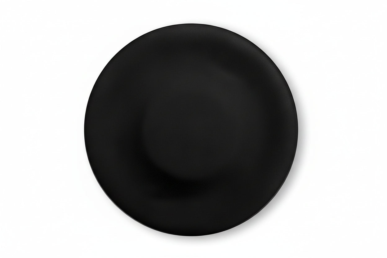 Mini Flying Disc Catching Game