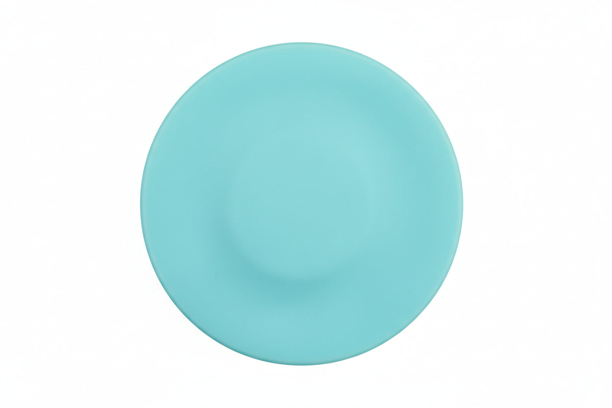 Mini Flying Disc Catching Game